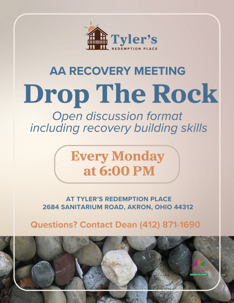 Recovery Meeting – Drop The Rock