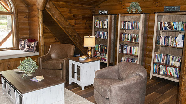 Library with soft leather chairs
